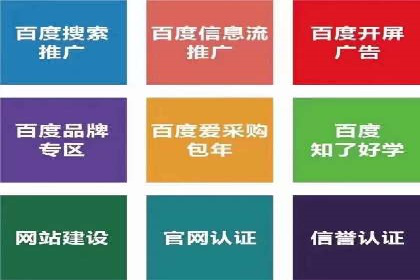案例解析：如何通过百度推广实现快速转化